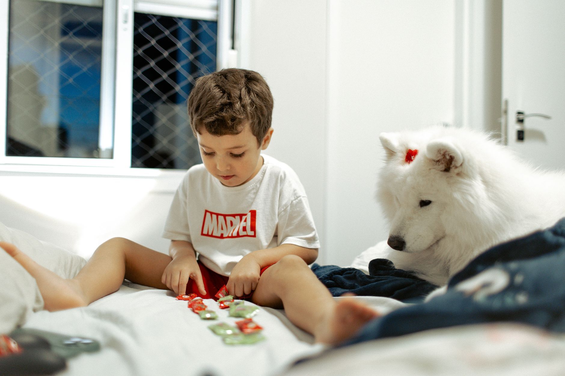 A young boy plays with puzzles on a bed while a Samoyed dog watches, inside a cozy room.