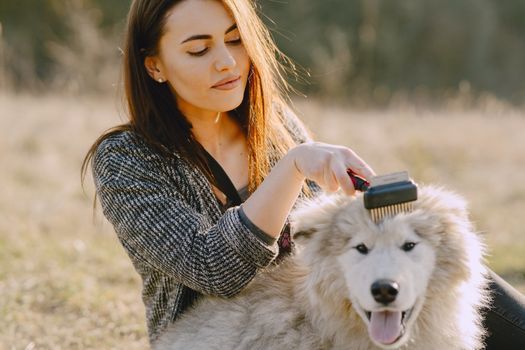 A calm dog being brushed gently with a grooming tool during a short home care session