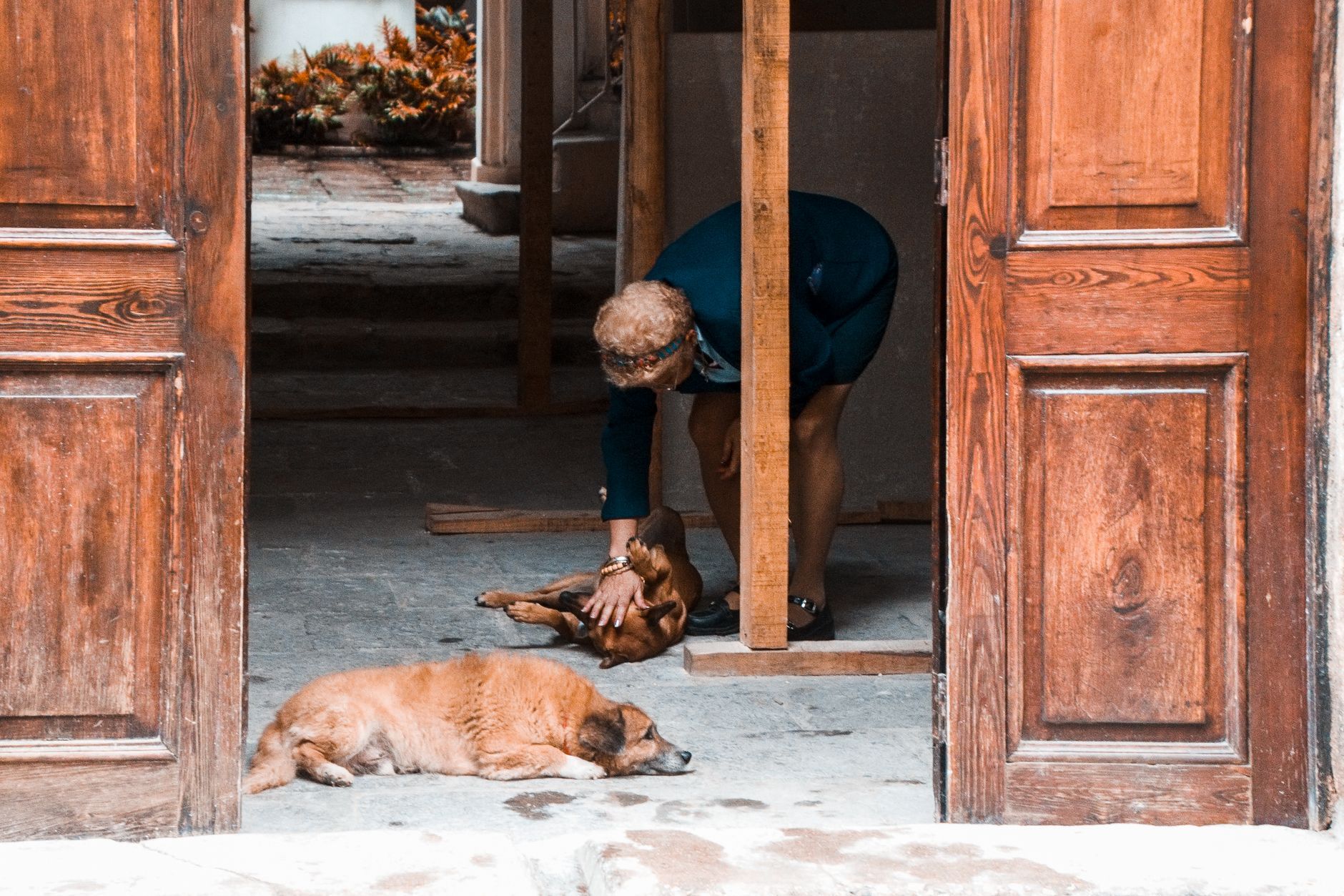 A dog lying near a doorway at home