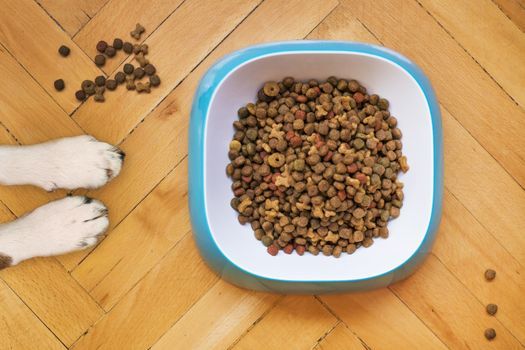 Dog kibble measured in a bowl on a wooden floor