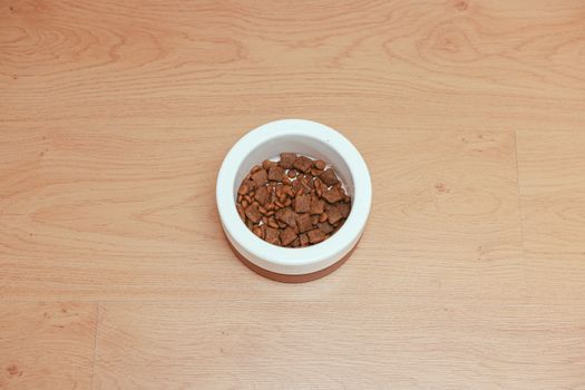 Pet food served in a simple bowl on the floor