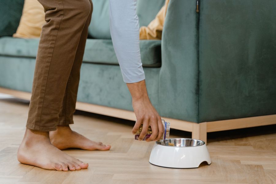 Person measuring food into a dog bowl at home