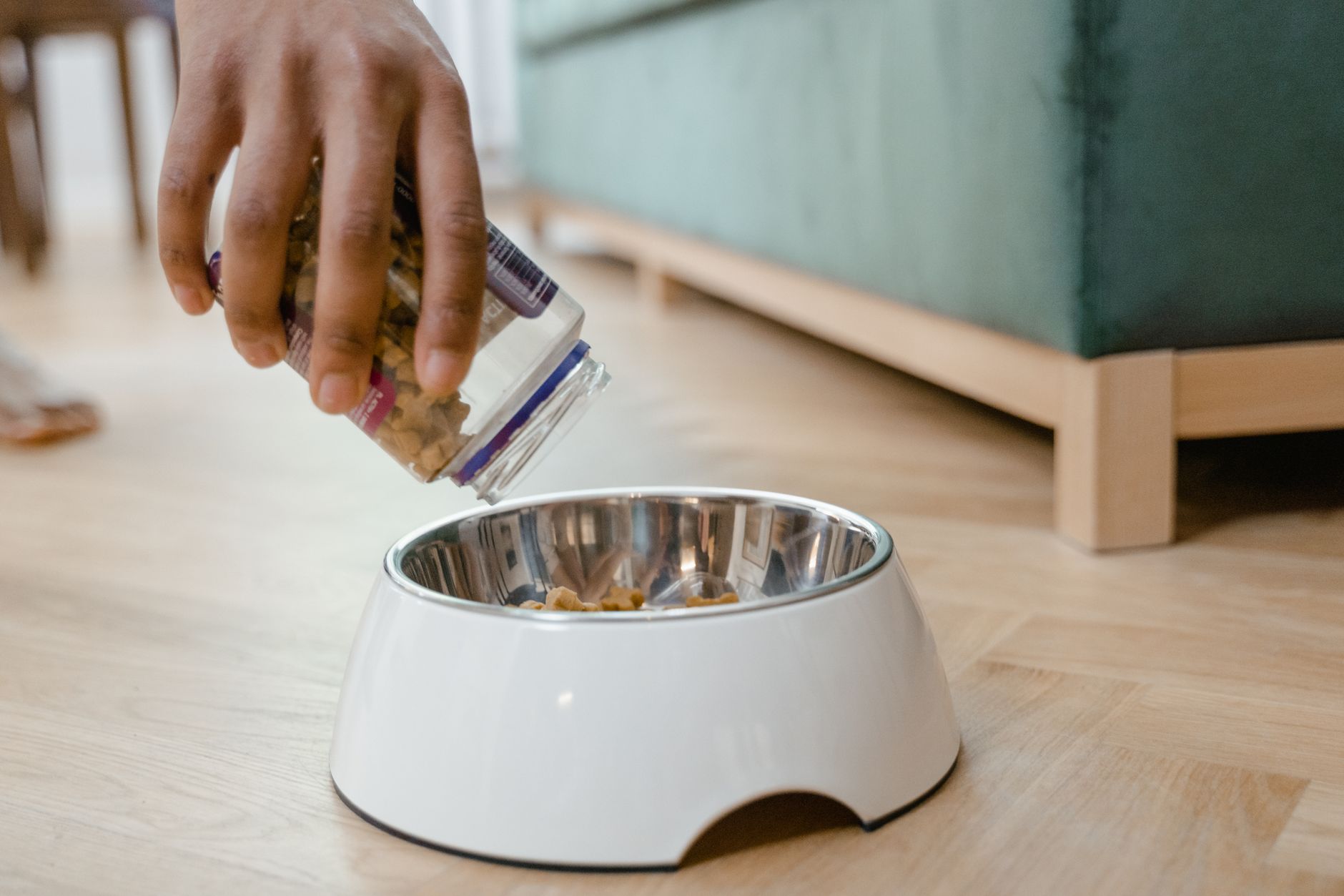 A dog food bowl prepared at home