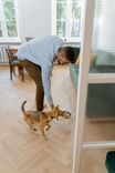 A man prepares food for his dog in a bright living room