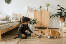A child and dog spending calm supervised time at home