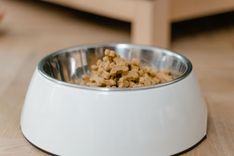 Measured pet food in a bowl on a kitchen floor